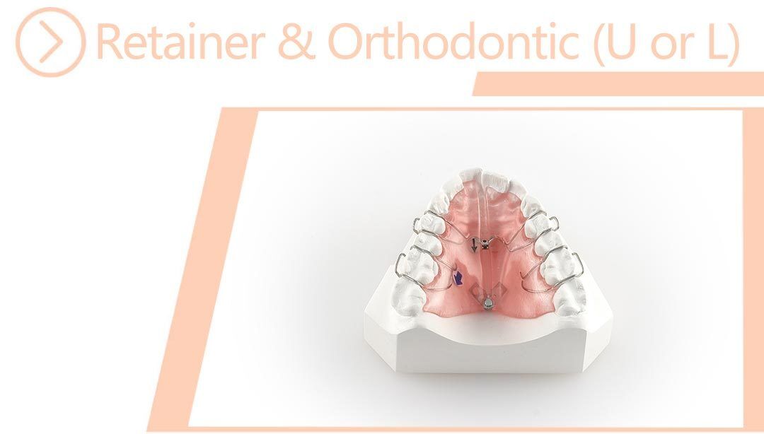 Retainer & Orthodontic (U or L)