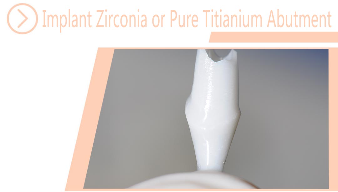 Implant Zirconia or Pure Titianium Abutment