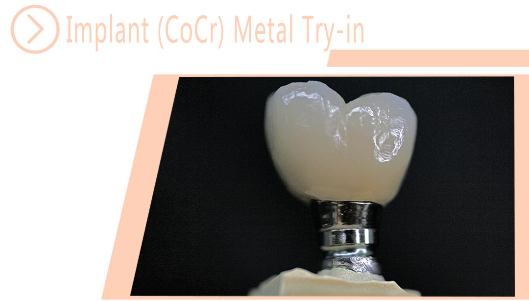 Implant (CoCr) Metal Try-in