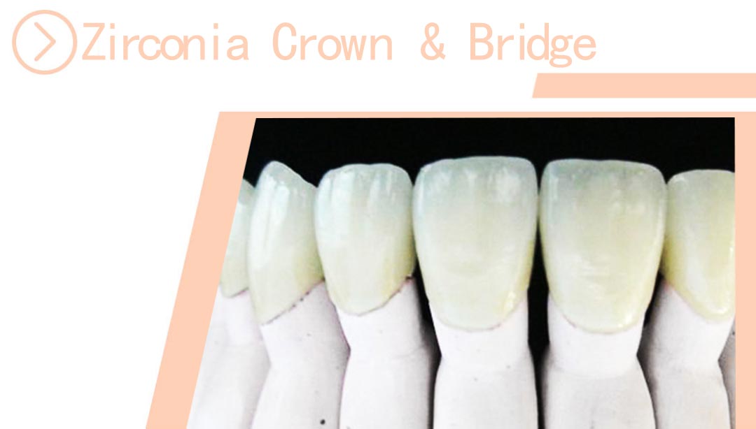 Zirconia Crown&Bridge