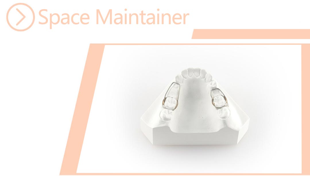Space Maintainer